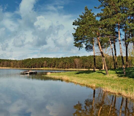 Волинь увійшла в ТОП-5 найбільш екологічних регіонів