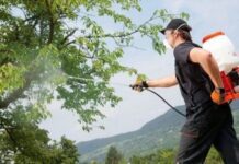 Як вибирати мембранні насоси в Луцьку