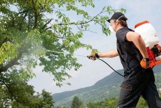 Як вибирати мембранні насоси в Луцьку