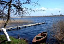 “Українське Нессі”: загадка озера Сомин