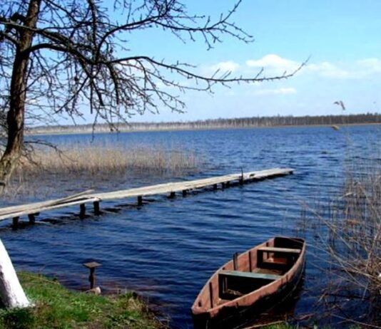 “Українське Нессі”: загадка озера Сомин