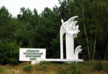 Шацький національний природний парк: історія його створення та в чому його унікальність