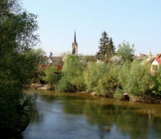 Бездіяльність “Луцькводоканалу”: забруднення річки Стир у Луцькому районі