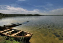 Перлина Волині: особливості озера Світязь