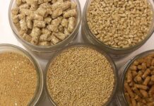 Як вибрати кормові добавки для тварин: поради лучанам