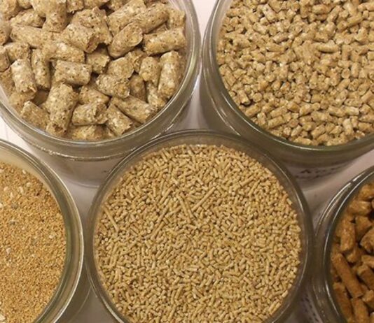 Як вибрати кормові добавки для тварин: поради лучанам