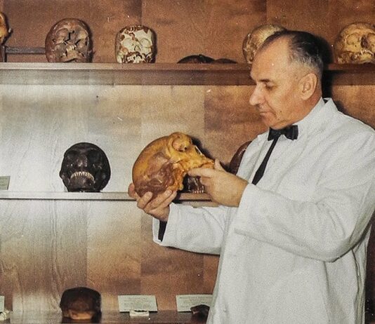 Життя та діяльність на Волині видатного археолога Юрія Шумовського