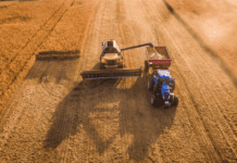 Яке обрати елеваторне обладнання? Переваги вибору