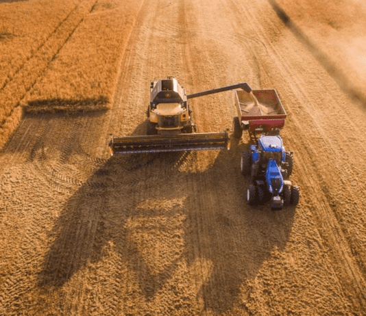 Яке обрати елеваторне обладнання? Переваги вибору