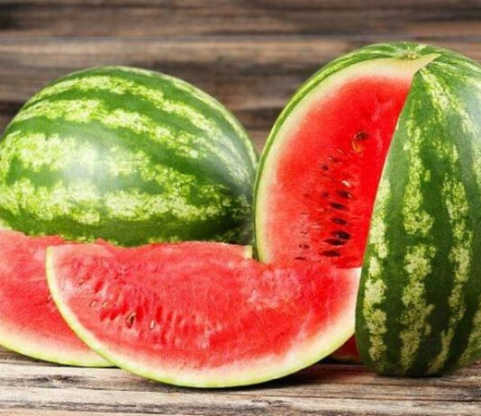 Кто и как на Волыни выращивает арбузы