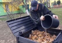 Що лучани роблять з опалим листям