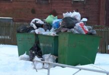 Еволюція контейнерів для сміття у Луцьку: від совкових до підземних варіантів