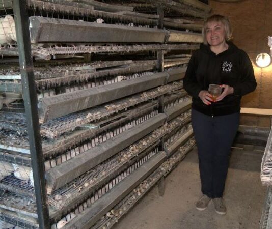 Как фермерша на Волыни изготавливает охлажденное перепелиное мясо