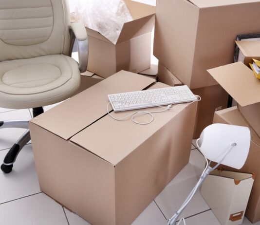 Круговорот макулатуры в природе. История луцкой картонно-бумажной фабрики