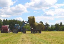 Екологічна революція у Луцьку: як екологічні ферми набирають популярності серед містян