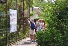 Луцький зоопарк – місце, що закохує в себе дітей та дорослих