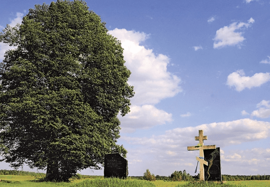 Історія знищеного, але не стертого з пам’яті села Грива