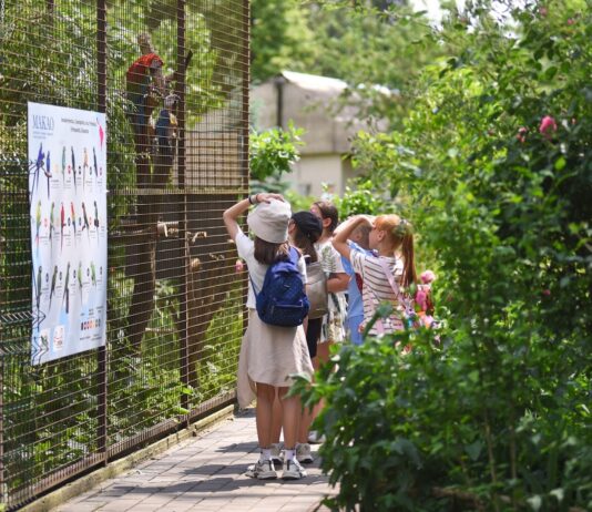 Луцький зоопарк – місце, що закохує в себе дітей та дорослих