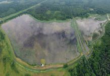 Цуманська пуща: заповідна зона Волині, що зберігає таємниці дикої природи