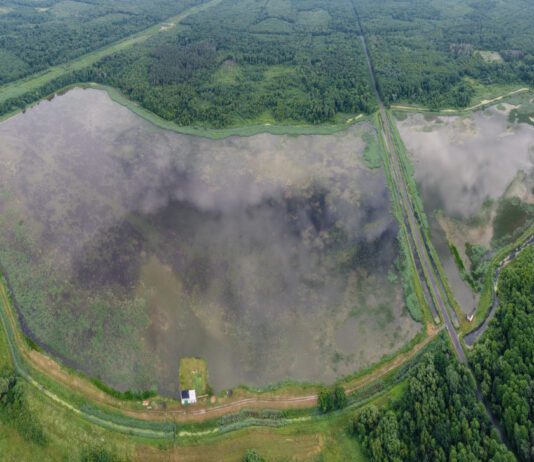 Цуманська пуща: заповідна зона Волині, що зберігає таємниці дикої природи