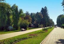 Центральний парк культури і відпочинку ім. Лесі Українки: історія створення та сучасність