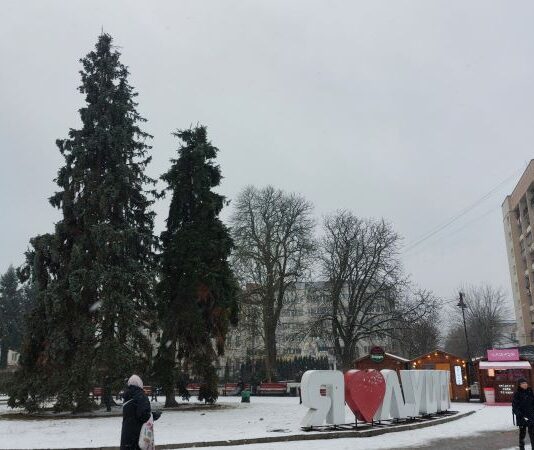 Что не так с главными елками Луцка и есть ли шанс все исправить?