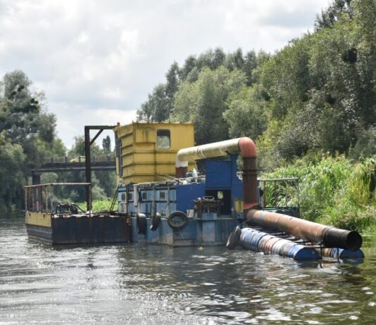 Екосила громади: як лучани змінюють екологію власноруч