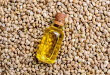 Канабіс у раціоні: користь від зернят для здоров’я та краси