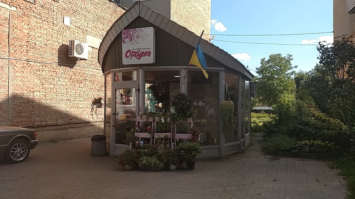 Орхидея — Florist